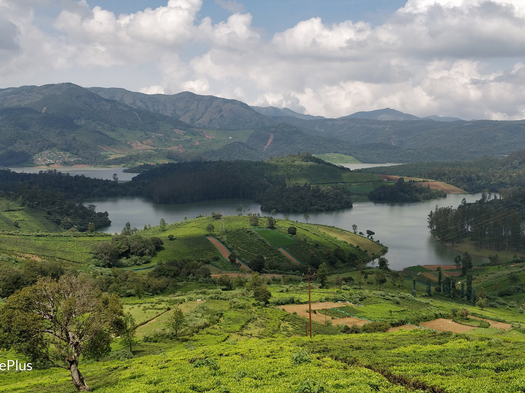 Emerald Lake景点图片