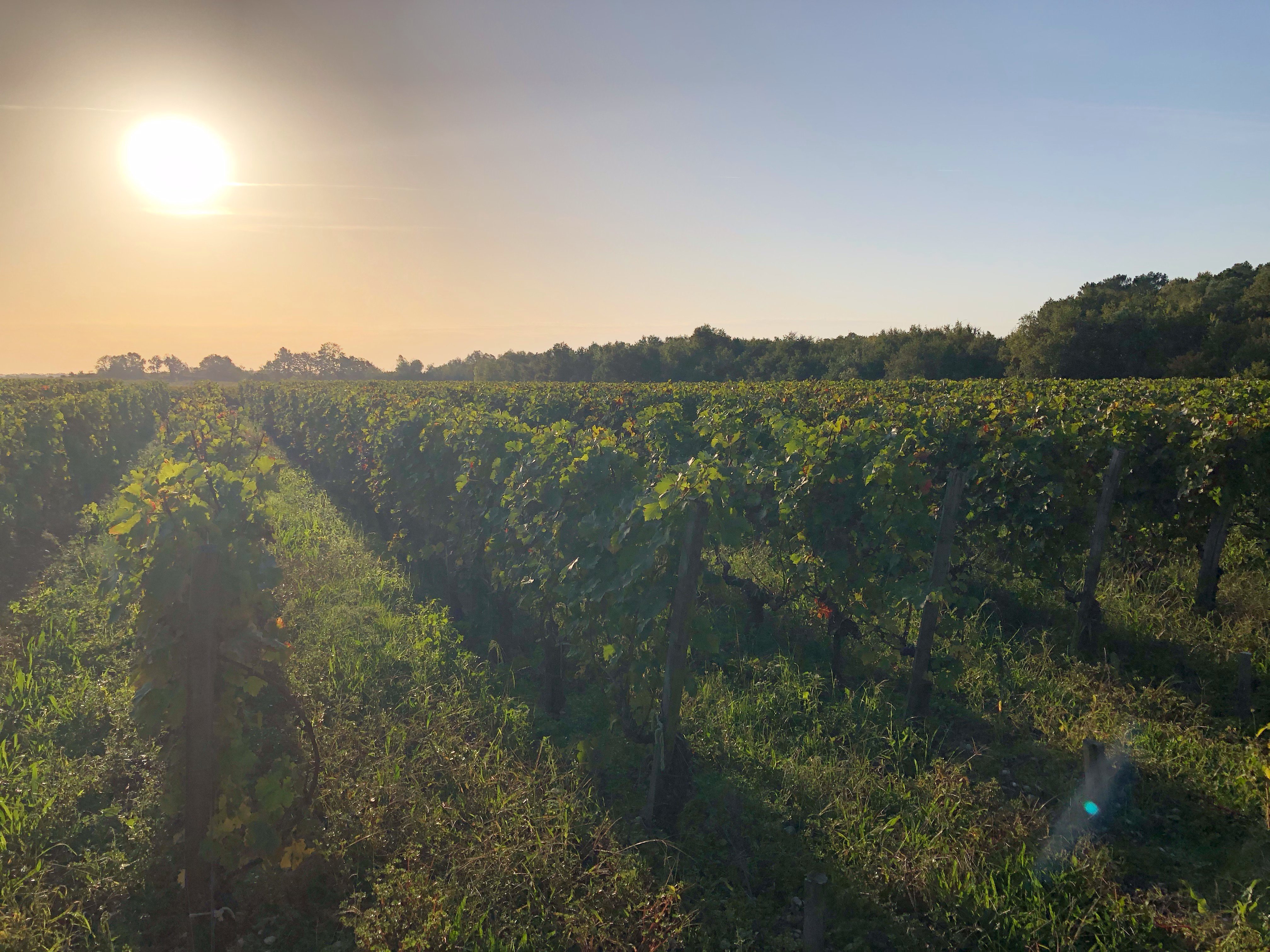 Domaine de Giron-浴室
