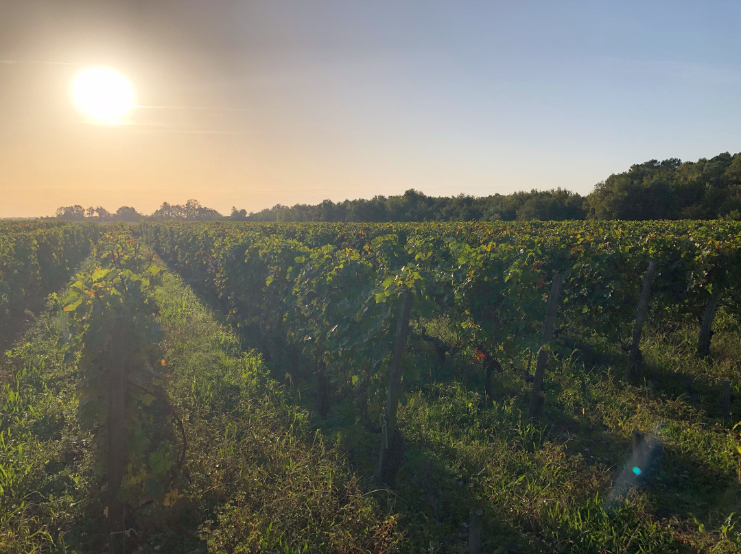 Domaine de Giron主图