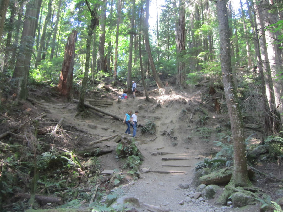Baden-Powell Trail景点图片