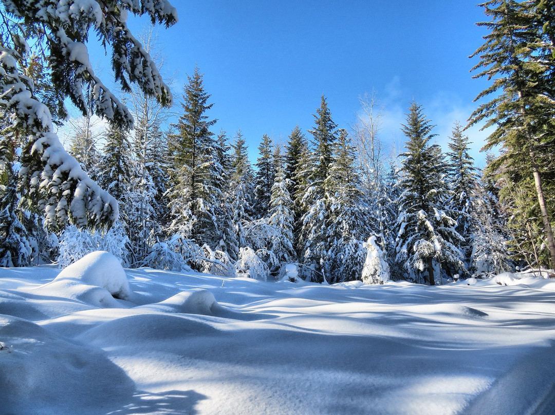 Larch Hills Cross Country Ski Area景点图片