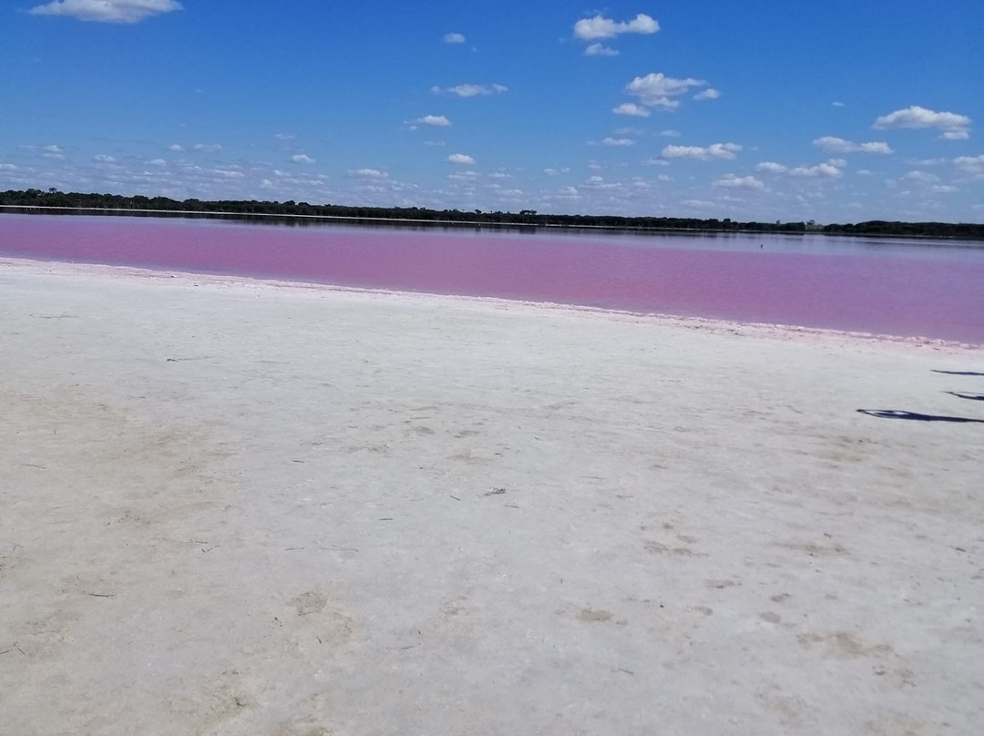 Pink Lake-Meningie必去景点
