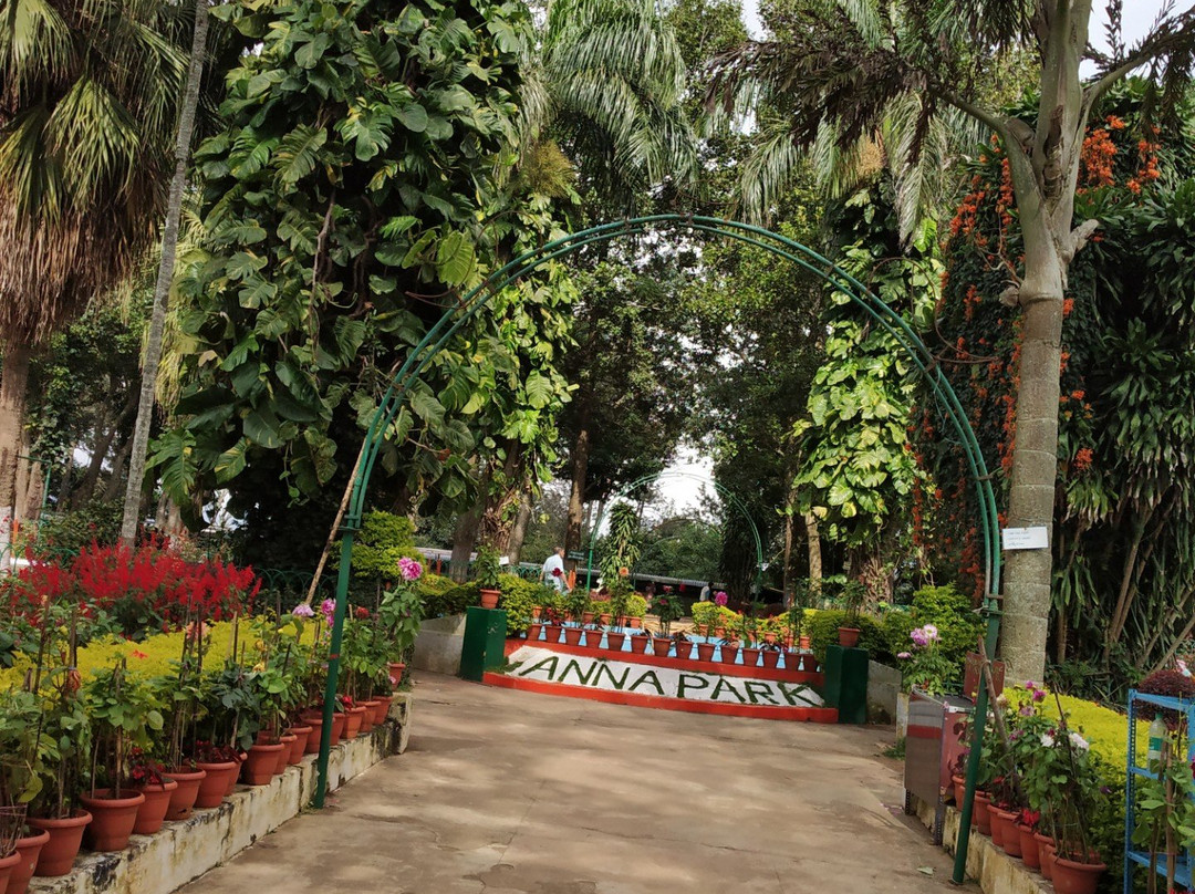 Anna Park-亚尔考德必去景点