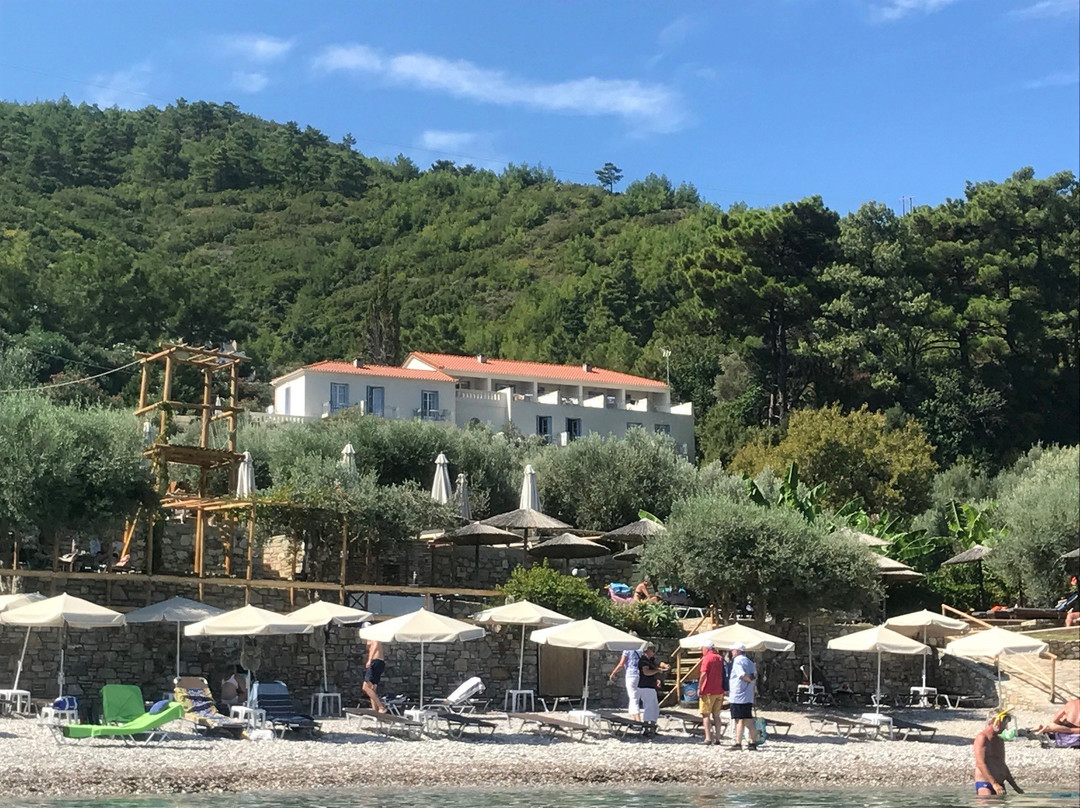 Armonia Bay Hotel主图
