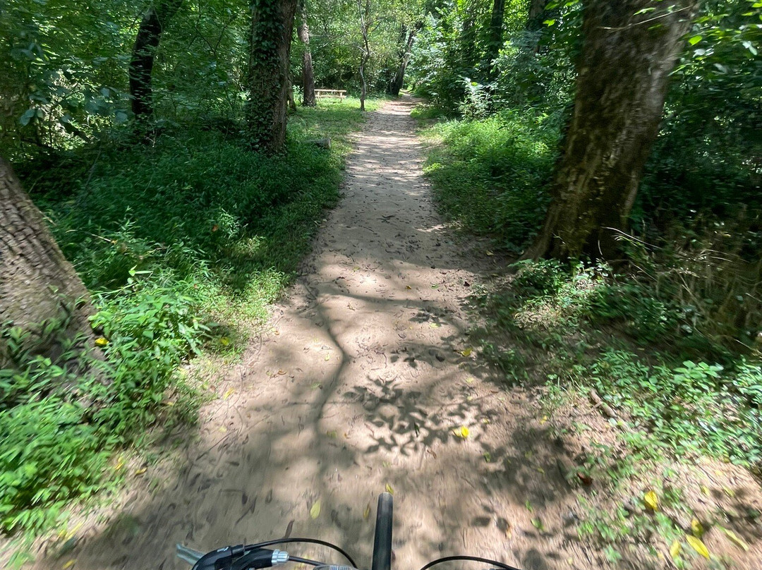 Cottonwood Trail景点图片