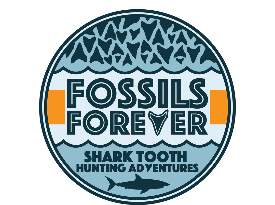 Fossils Forever - Shark Tooth Hunting Adventures-美特尔海滩必去景点