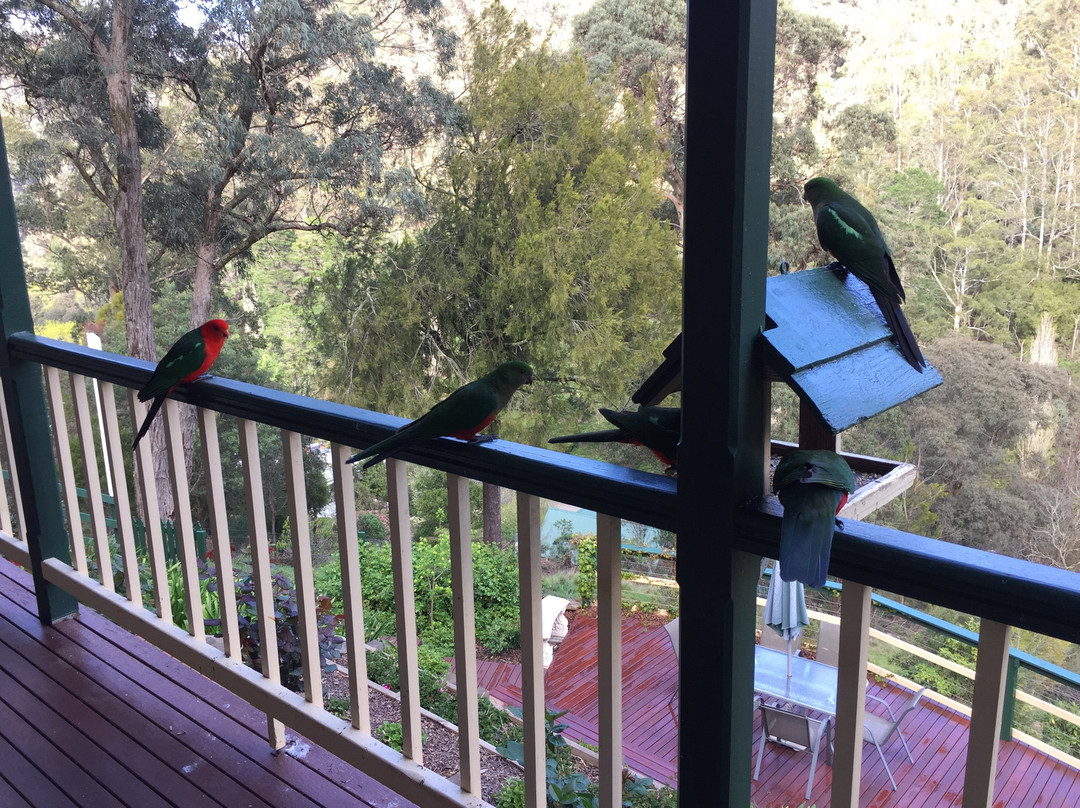 Wild Cherry B&B主图