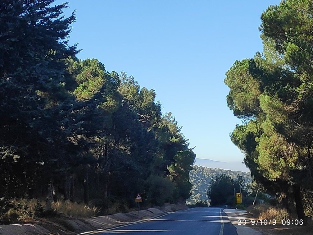 Yaar Haayalim - Deer Forest-Merom Golan必去景点