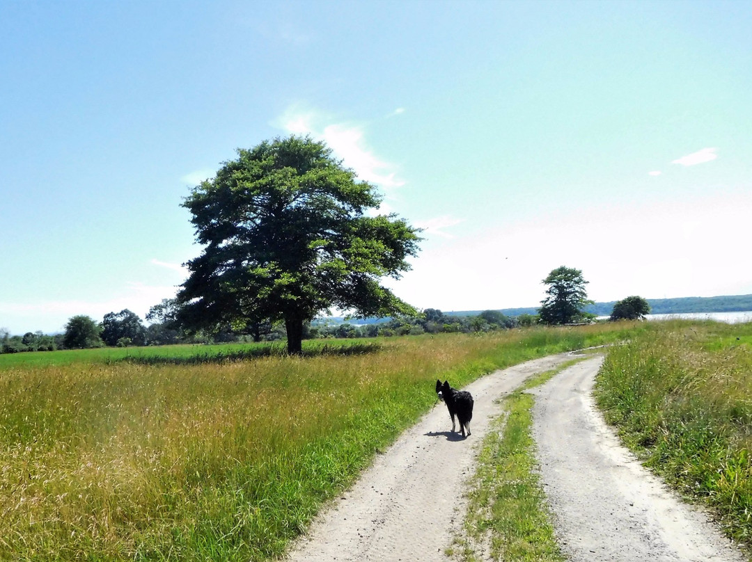 Jamestown旅游景点-Watson Farm