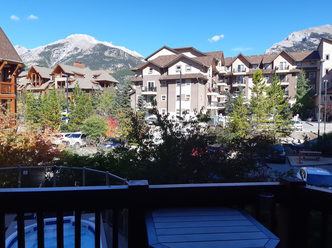 鹰冠山林小屋酒店主图