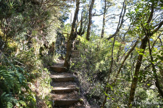 Governors Bush Walk-库克山村庄必去景点