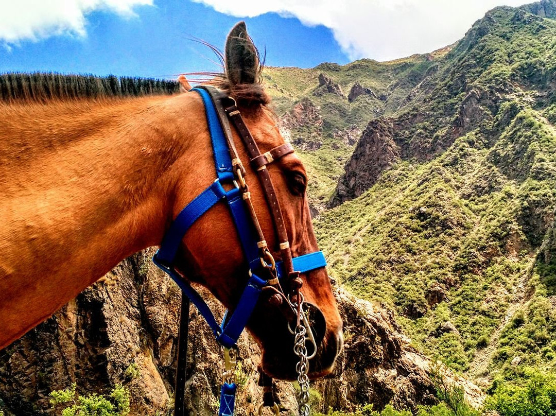 La Crucecita Horseback Riding - Cabalgatas