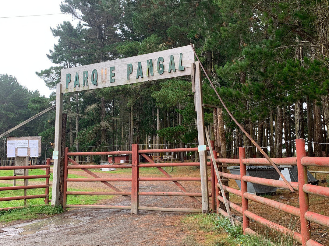 Parque Pangal