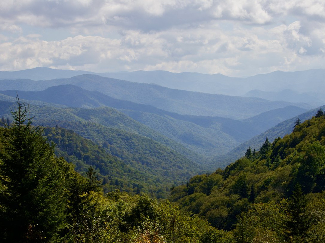 Smoky Mountain Guides景点图片