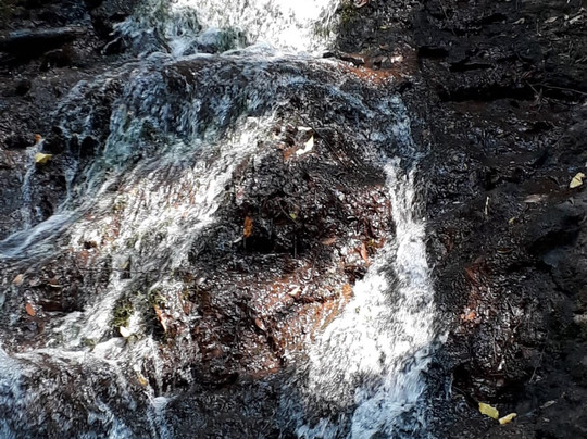 Moinho Colonial Paladini