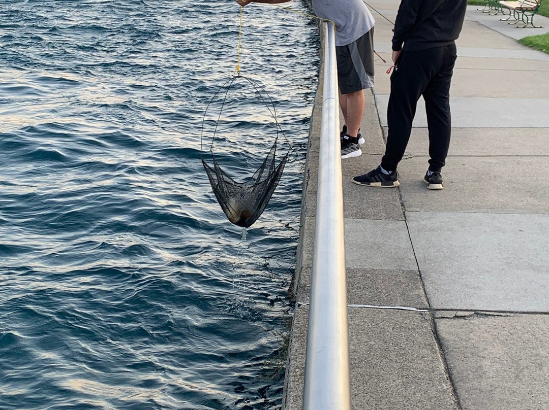 Blue Water River Walk-休伦港必去景点