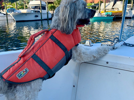 Florida Friends Boat Rental-拉哥岛必去景点