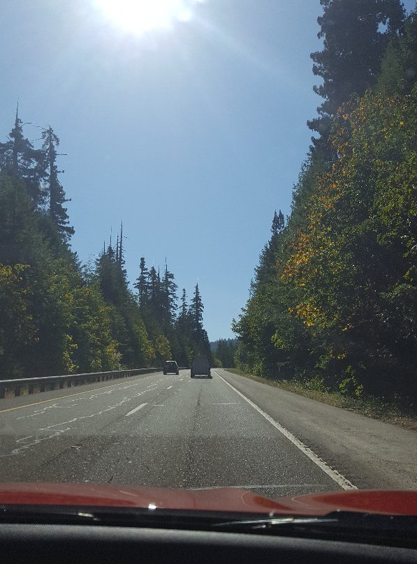 Redwood Highway-尤里卡必去景点