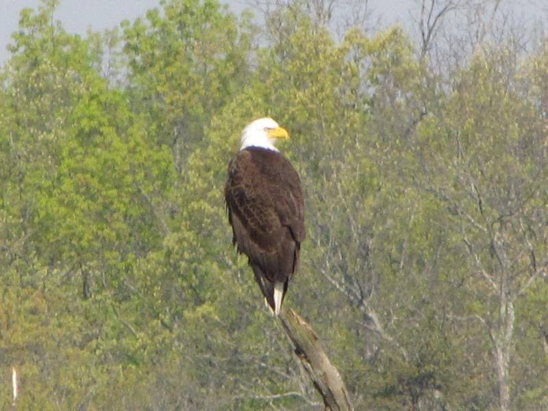 Meadow Park Lake-Crossville必去景点