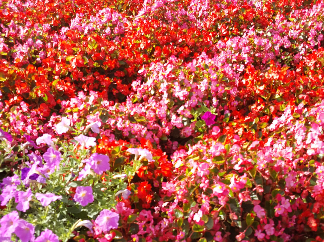 Private Arrival Transfer from JFK LGA EWR to NYC-布鲁克林必去景点