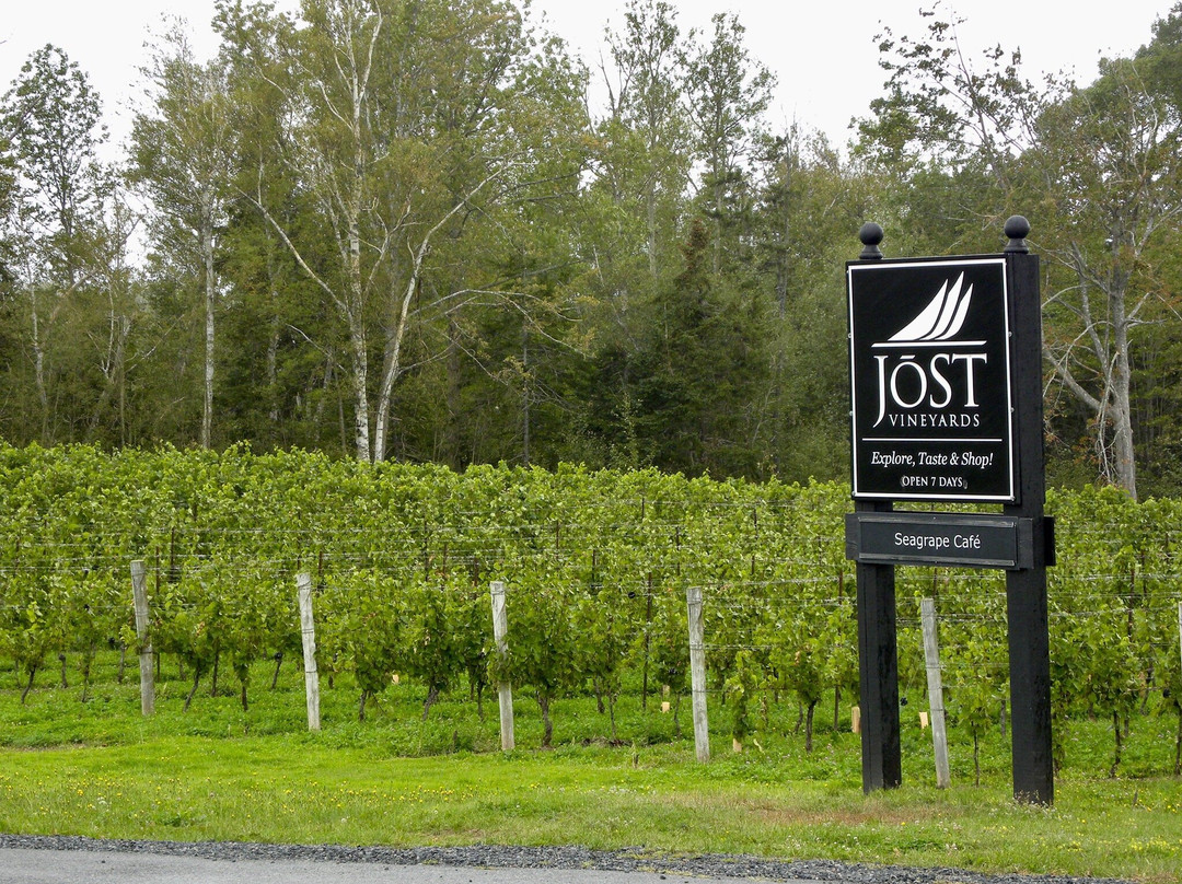 Jost Vineyards-Malagash必去景点