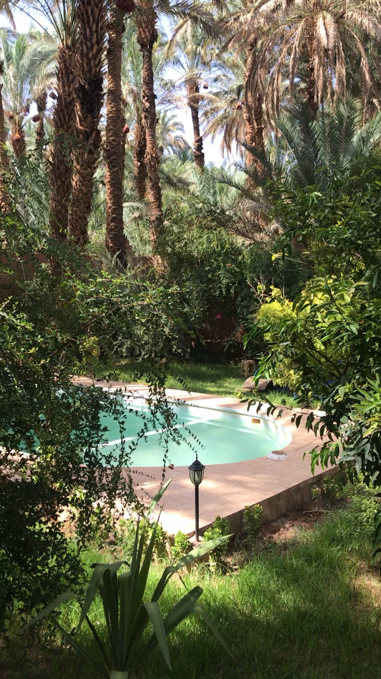 Riad Soleil Du Monde-浴室