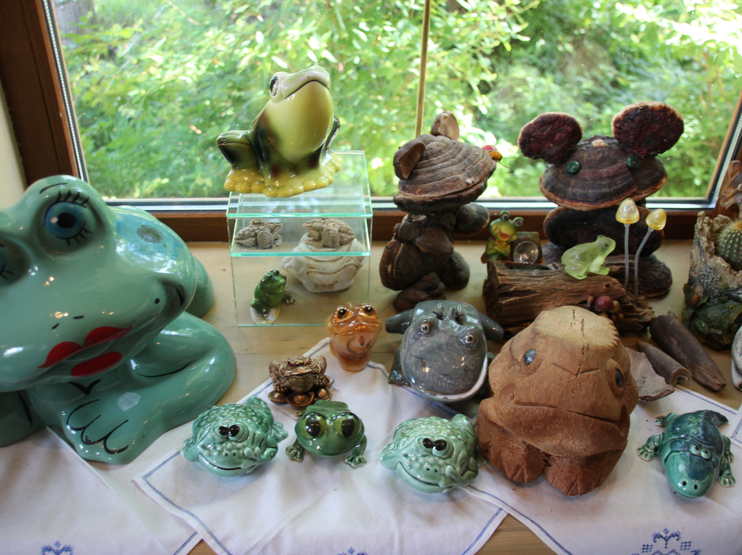 Frog's Museum景点图片