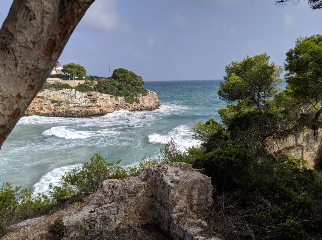 Cala Anguila旅游攻略图片