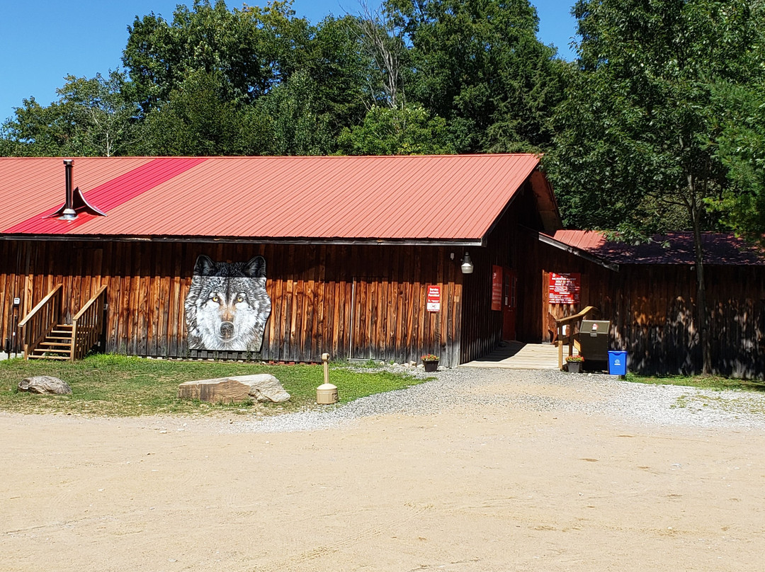 Haliburton Forest Wolf Centre景点图片