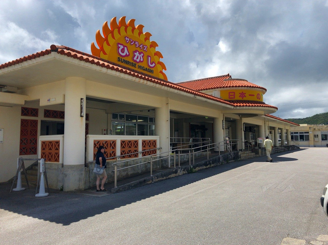 Sunrise Higashi-东村必去景点