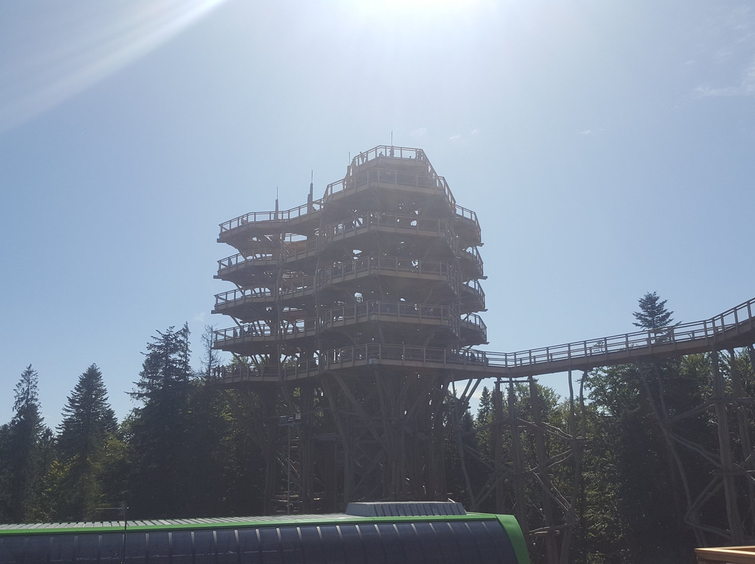 Słotwiny Arena景点图片