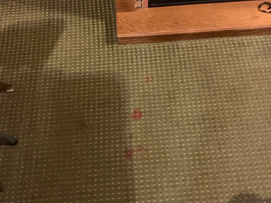 Mariner's Village at Carlyle Lake主图