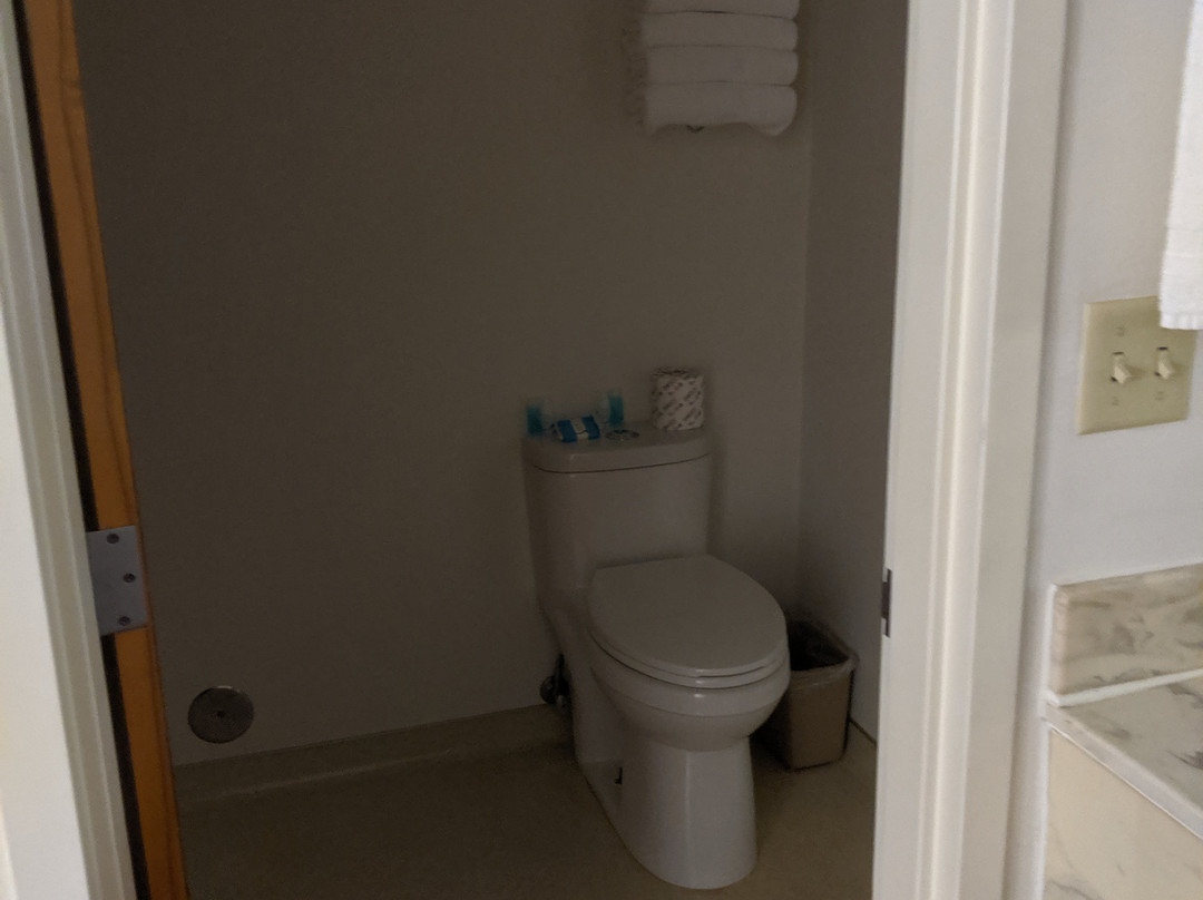 Lincoln's 10,000 Silver Dollar主图