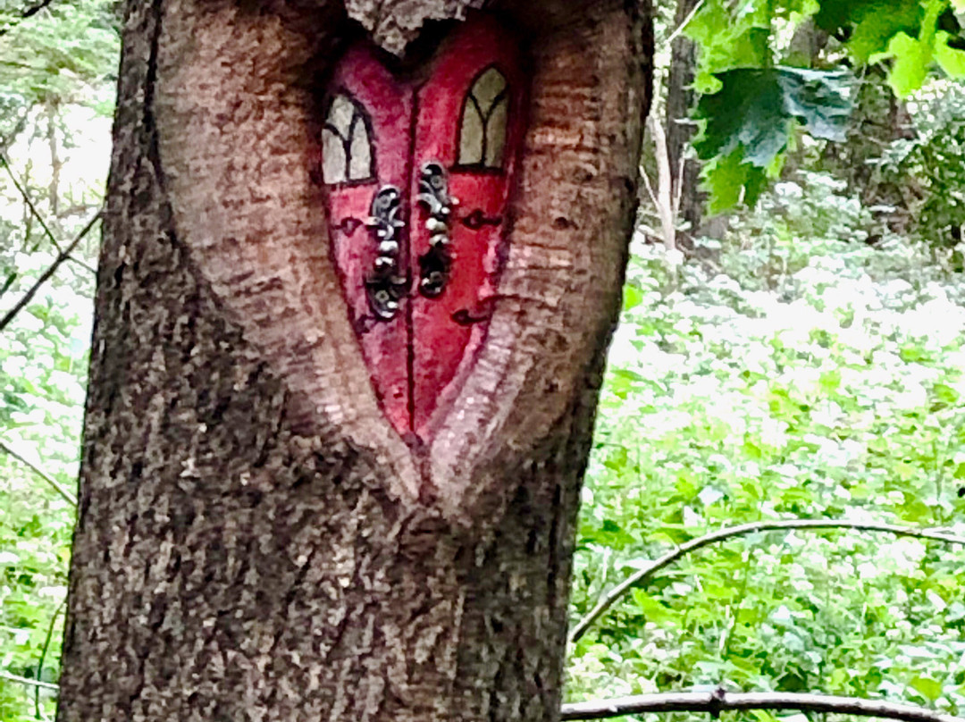 Mendon Ponds Park-Pittsford必去景点