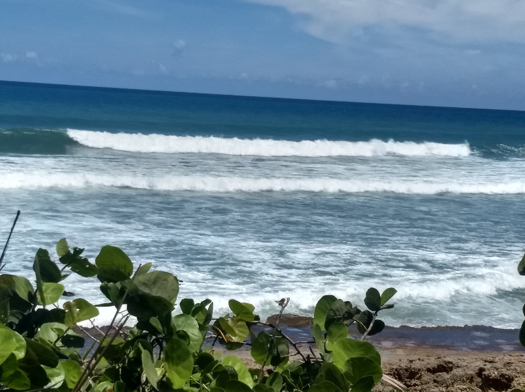 Surfer's Beach景点图片