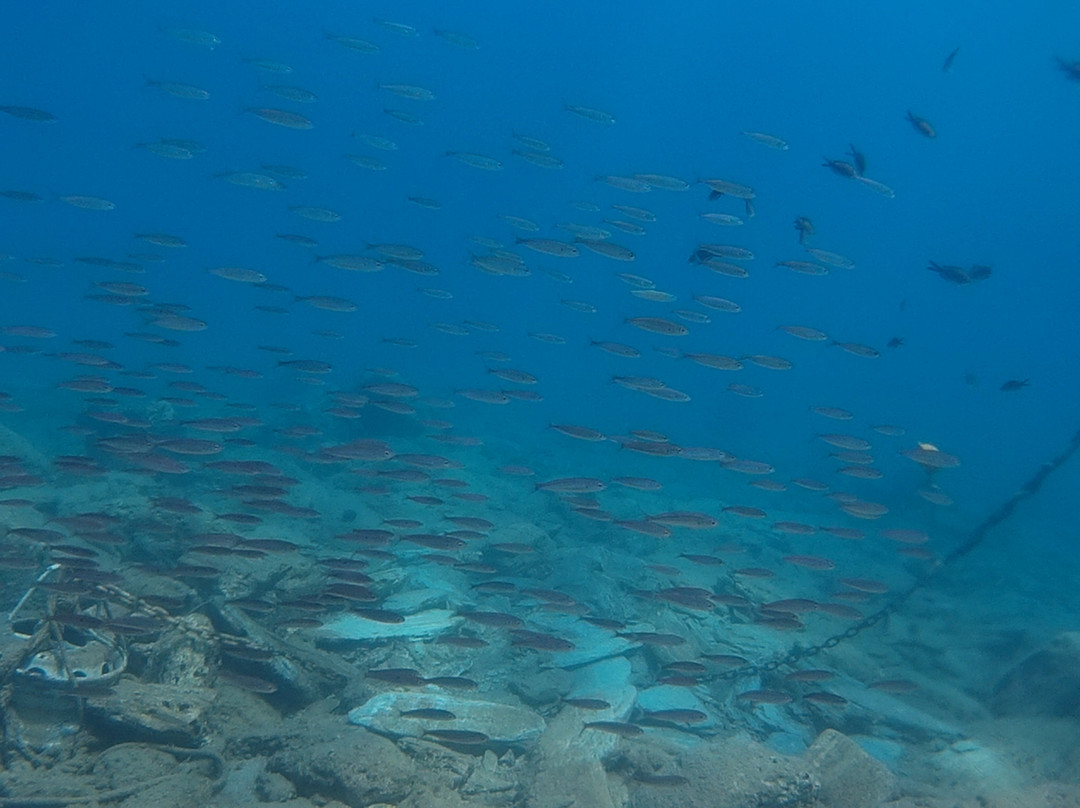 Makridakis Diving Crete-Ammoudara必去景点
