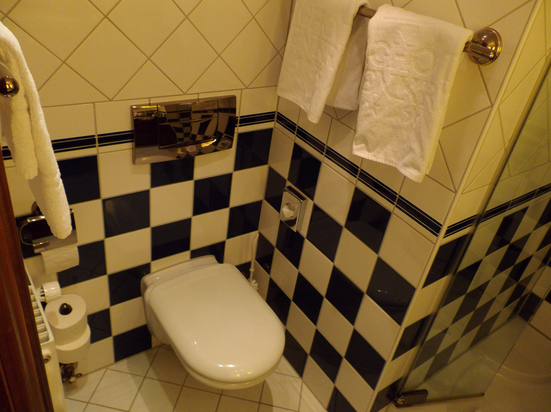 Romantik Berghotel Astenkrone主图