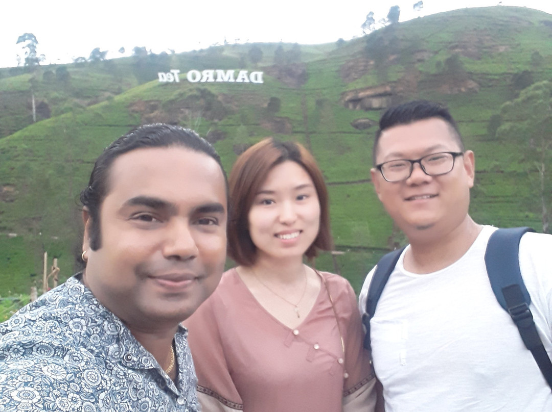 Damro Labookellie Tea Centre and Tea Garden景点图片