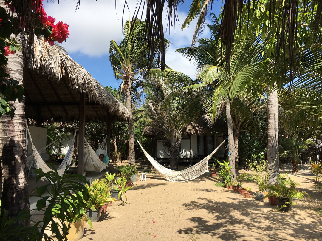 Santa Maria Atins主图