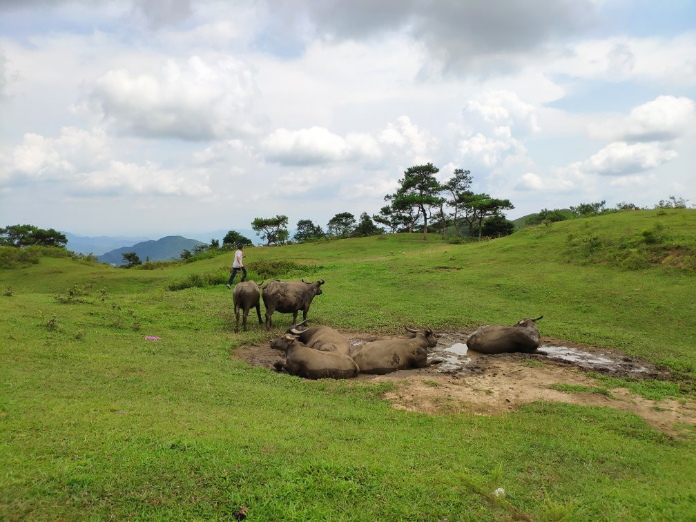 信宜旅游攻略图片