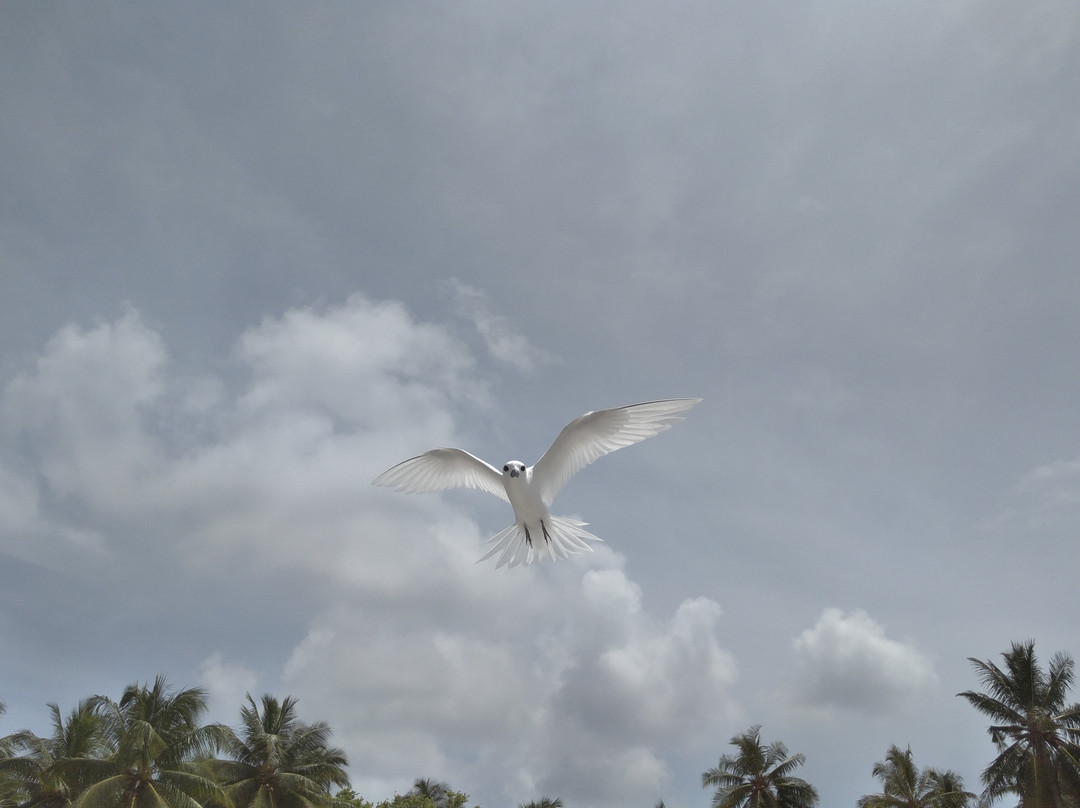 Equa Reef Maldives主图