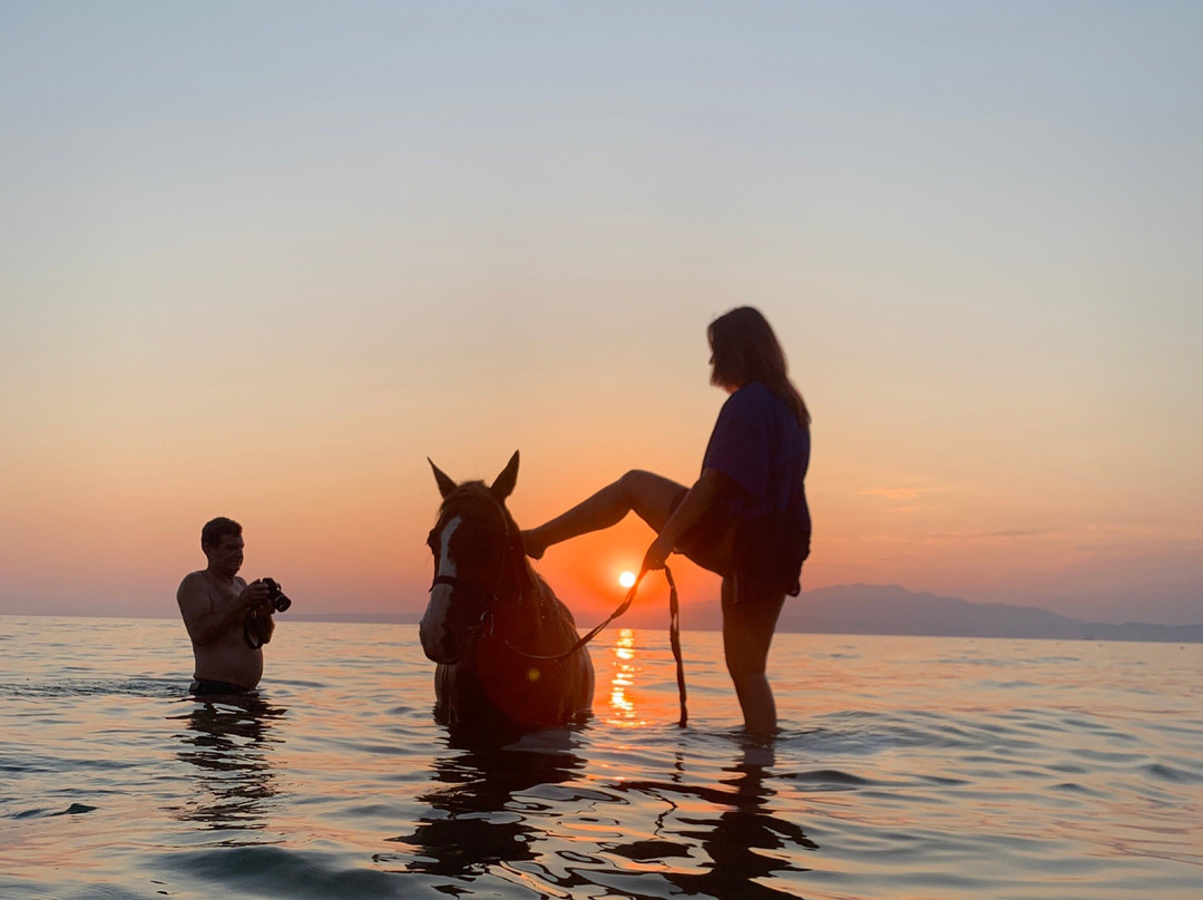 Thassos Horse Club景点图片