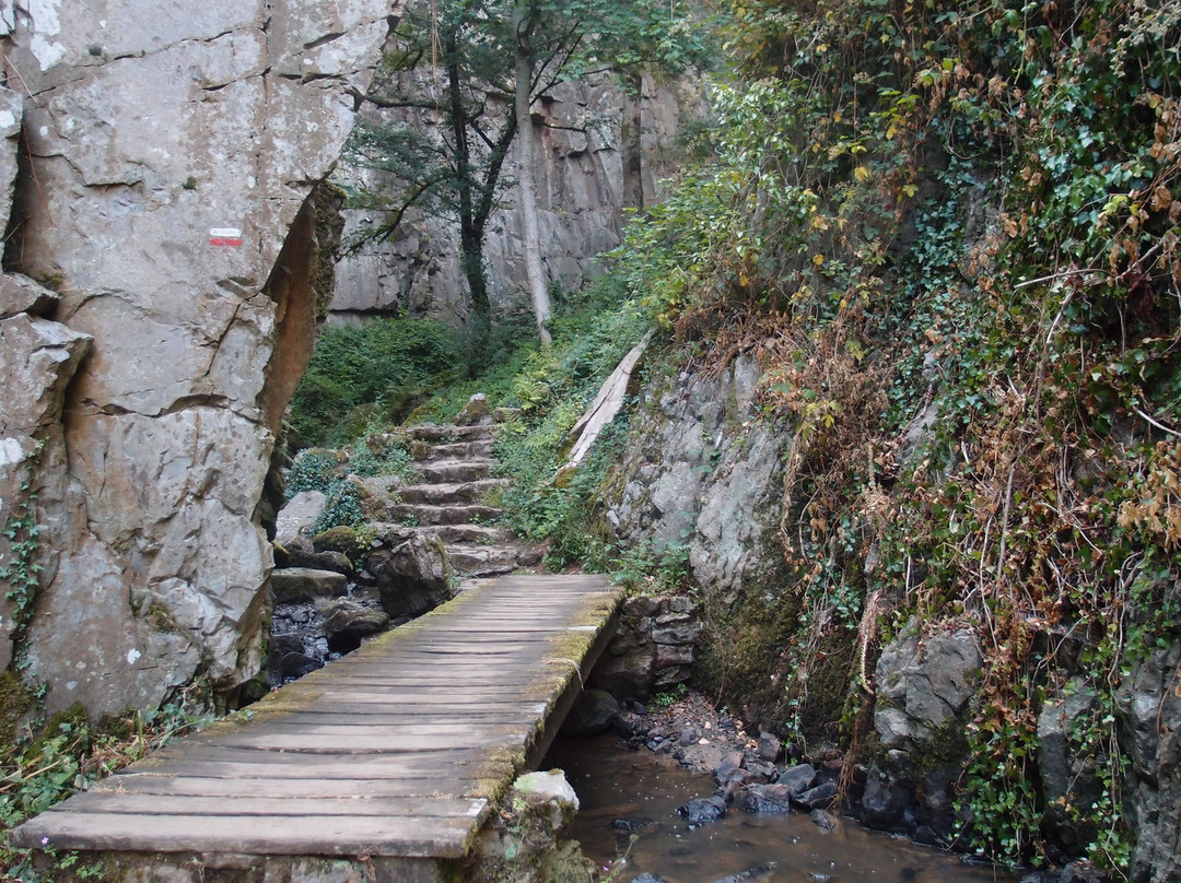 Petite Cascade de Mortain景点图片