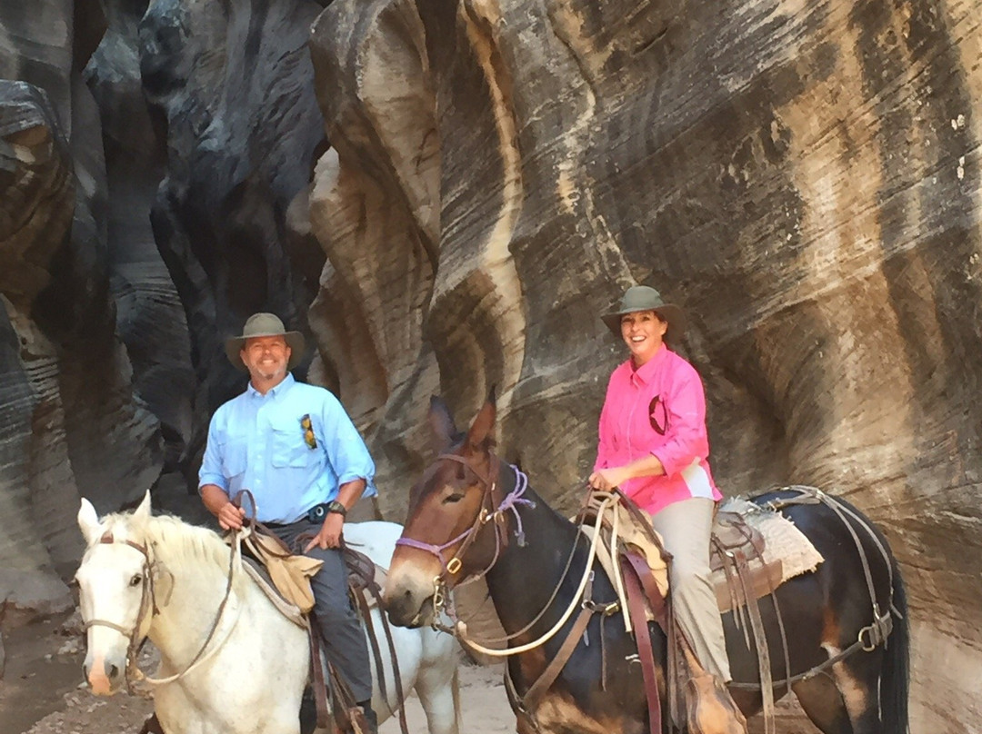 Mecham Outfitters-特罗皮克必去景点