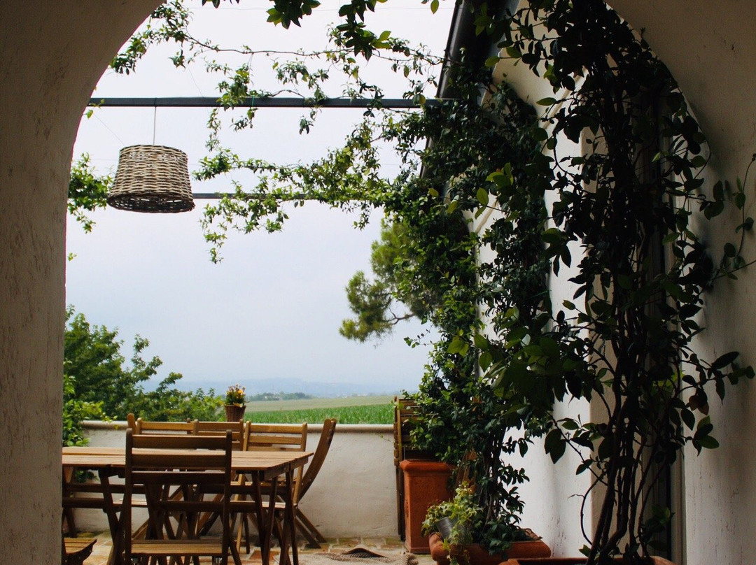 La Casa del Gelso主图