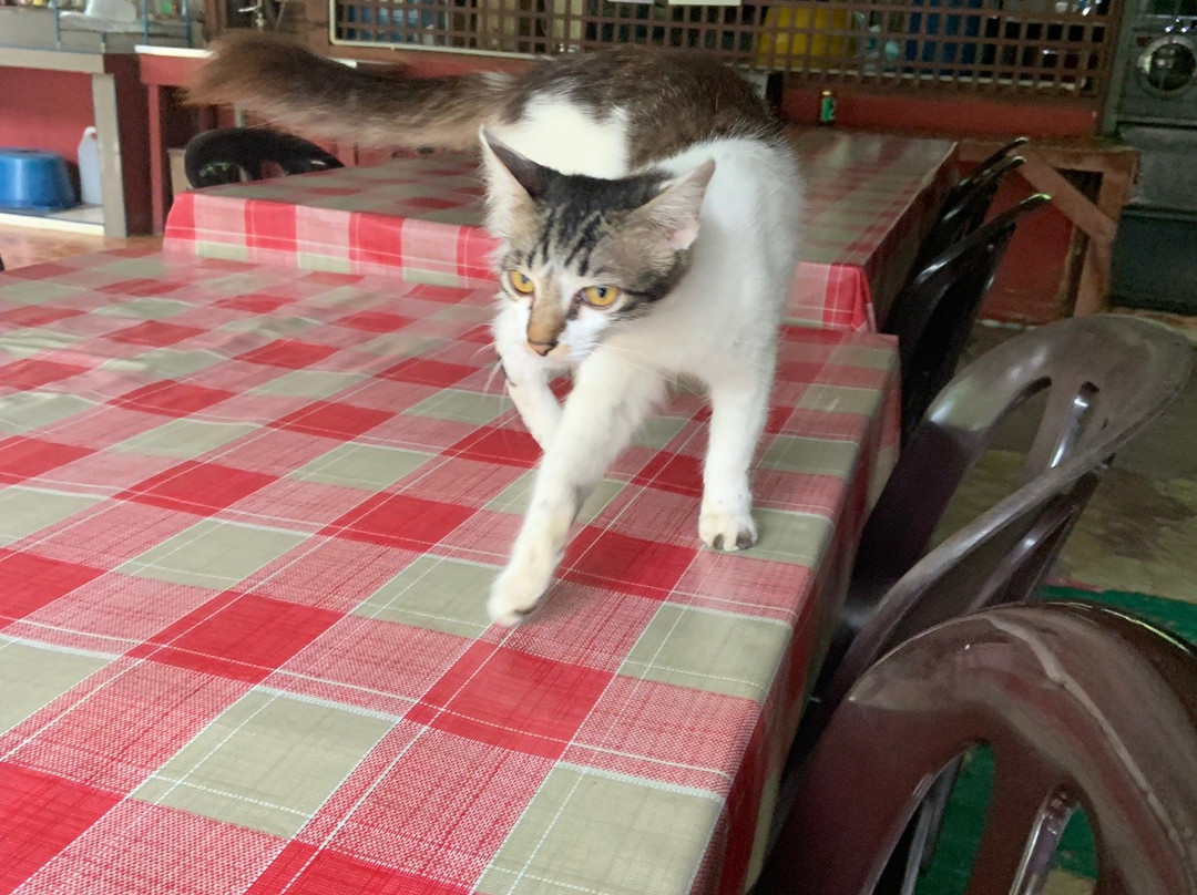 Maznah Guest House主图