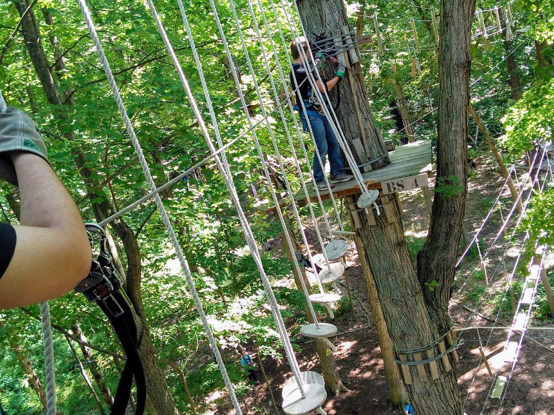 Frankenmuth Aerial Park-弗兰肯默斯必去景点
