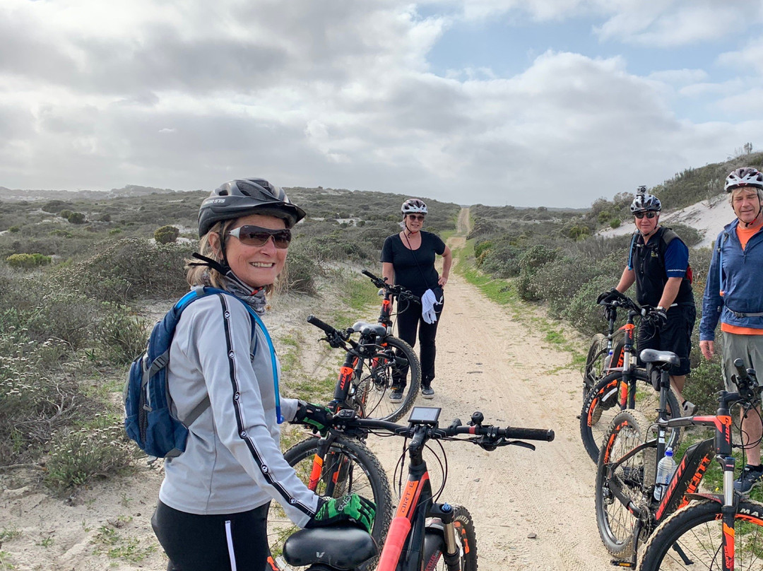 Koeberg Private Nature Reserve-Green Point必去景点