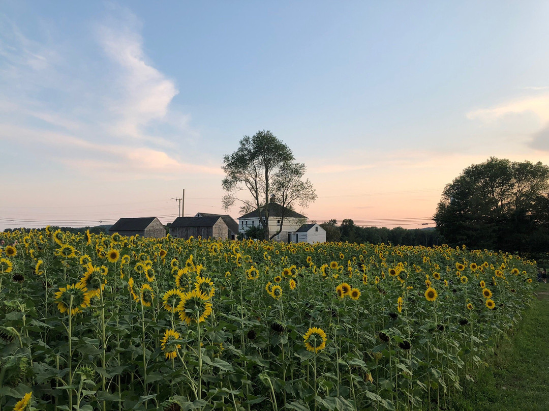 Buttonwood Farm-Griswold必去景点