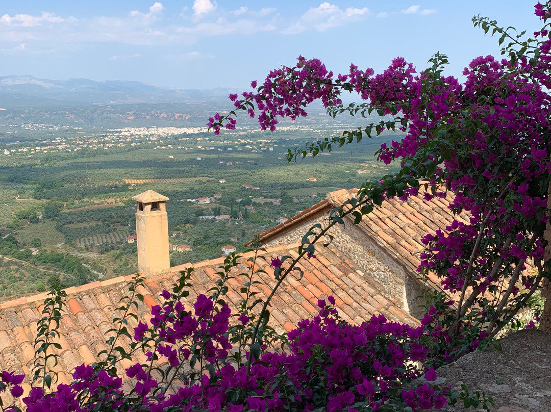 Eudaimonia Private Tours-雅典必去景点